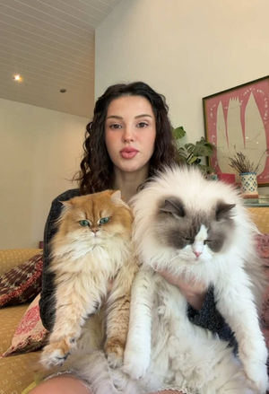 Video post by @lyssielooloo on TikTok