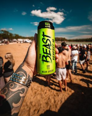 Image post by @thebeastunleashed on Instagram