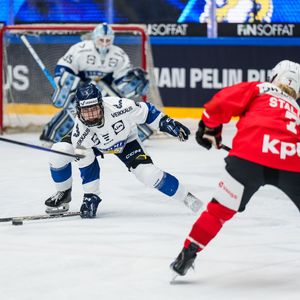 Image post by @leijonatfi on Instagram