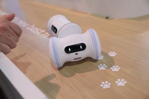 Image post by @ces on Instagram