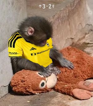 Image post by @timbersfc on Instagram