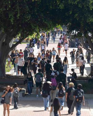 Image post by @csulongbeach on Instagram