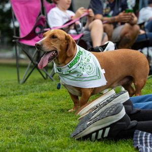 Image post by @picklesbaseball on Instagram