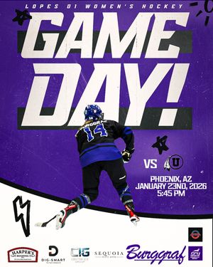 Image post by @lopeswhockey on Instagram