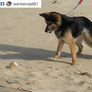 Image post by @theouterbanksnc on Instagram