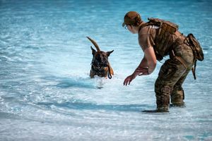 Image post by @usairforce on Instagram