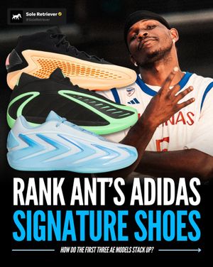 Image post by @soleretriever on Instagram