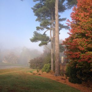 Image post by @ahs_gardening on Instagram