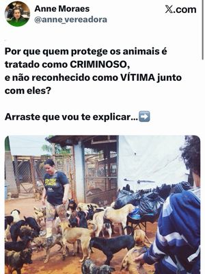 Image post by @annemoraesvereadora on Instagram