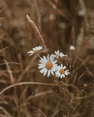 Image post by @kate.simple.life on Instagram