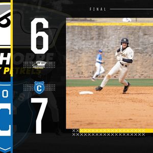 Image post by @GoPetrelsBSB on Twitter