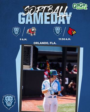 Image post by @culionssoftball on Instagram