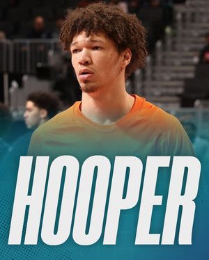 Image post by @hornetsbran on Instagram