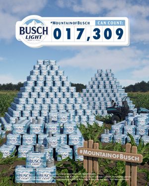 Image post by @BuschBeer on Twitter