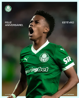 Image post by @palmeiras on Instagram