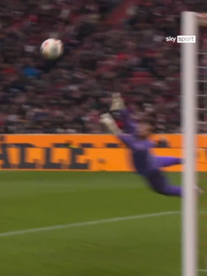 Video post by @bundesliga on TikTok
