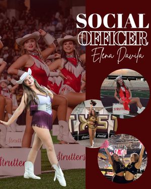 Image post by @txststrutters on Instagram