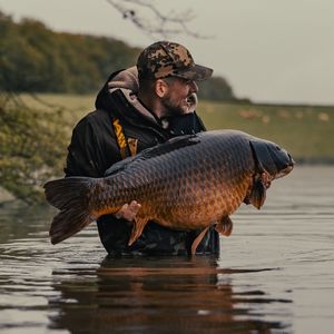 Image post by @brothercarp on Instagram