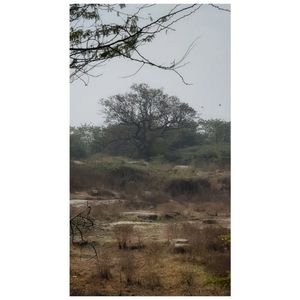 Image post by @anishyohankuruvilla on Instagram