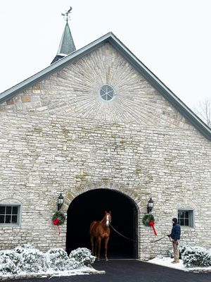 Image post by @coolmoreamerica on Instagram