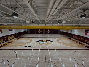 Image post by @suseagulls on Instagram