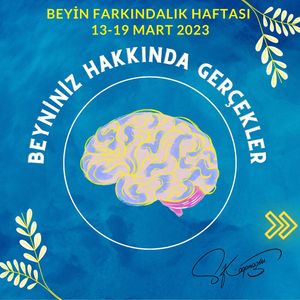 Image post by @drsedakosak on Instagram