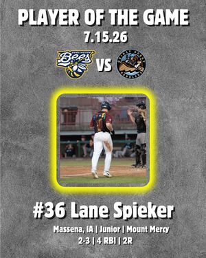 Image post by @burlington_bees on Instagram
