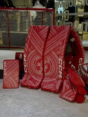 Image post by @goaliegearnerd on Instagram
