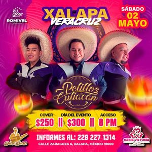 Image post by @pelillosdeculiacan on Instagram