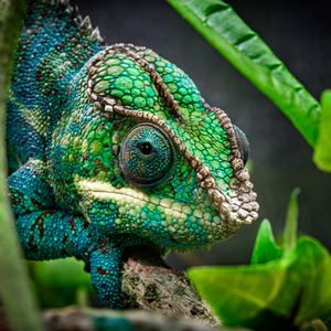 Image post by @discovery on Instagram