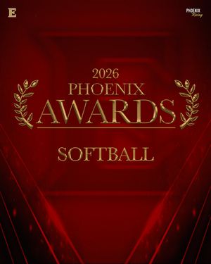 Image post by @elonsoftball on Instagram