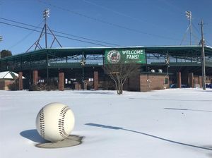 Image post by @gowoodducks on Instagram