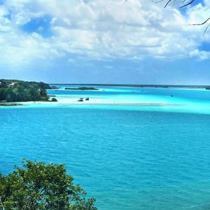 Image post by @randy_arozarena on Instagram