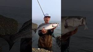 Video post by @daltonmauldin5 on YouTube