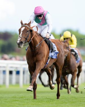 Image post by @juddmonte on Instagram