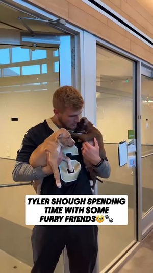 Video post by @nflonprime on TikTok