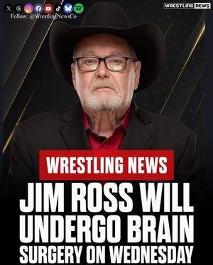 Image post by @wrestlingnewsco on Instagram