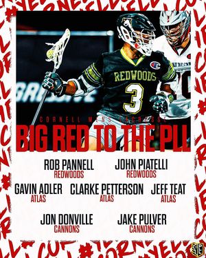 Image post by @CornellLacrosse on Twitter