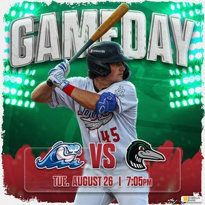 Image post by @greatlakesloons on Instagram