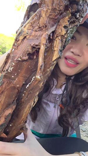 Video post by @meimeimecin on TikTok