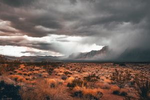 Image post by @overbeyphotography on Instagram