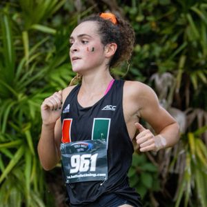 Image post by @CanesTrack on Twitter