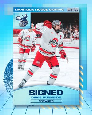 Image post by @manitobamoose on Instagram