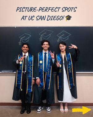 Image post by @ucsandiego on Instagram