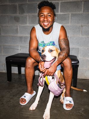 Image post by @ozzie on Instagram