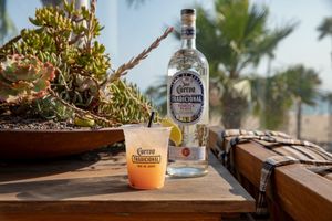 Image post by @JoseCuervo on Twitter