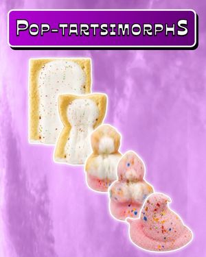 Image post by @poptartsus on Instagram