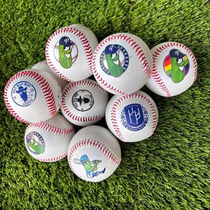 Image post by @picklesbaseball on Instagram