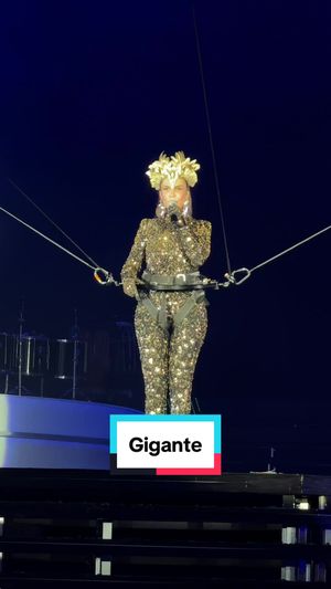 Video post by @ivetesangalo on TikTok