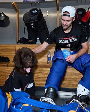 Image post by @sabrespup on Instagram